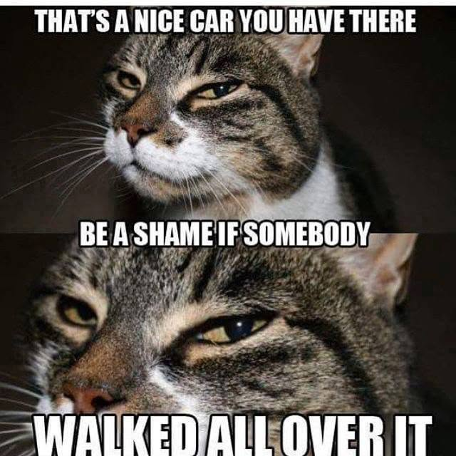 THAT'S A NICE CAR YOU HAVE THERE BE A SHAME IF SOMEBODY WALKED ALL OVER IT
