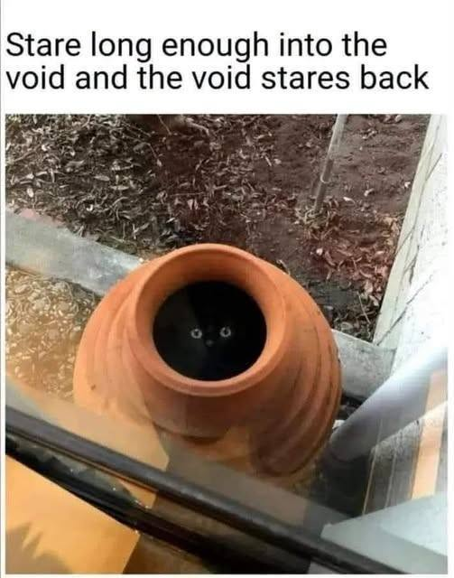 Stare long enough into the void and the void stares back