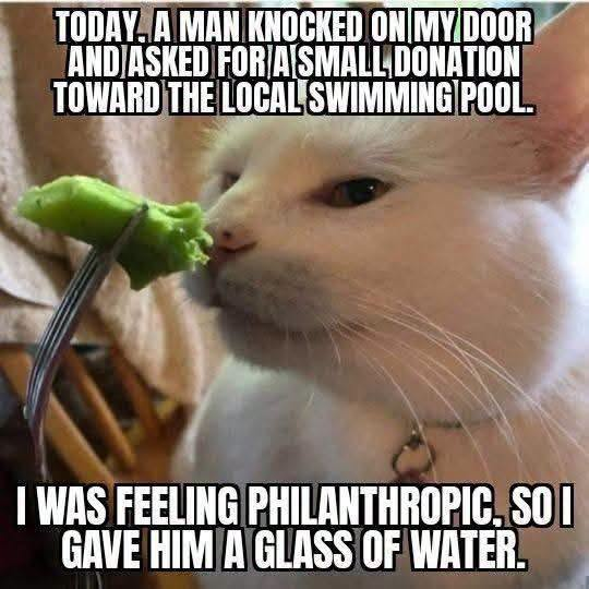 TODAY. A MAN KNOCKED ON MY DOOR AND ASKED FOR A SMALL DONATION TOWARD THE LOCAL SWIMMING POOL. I WAS FEELING PHILANTHROPIC, SO I GAVE HIM A GLASS OF WATER.