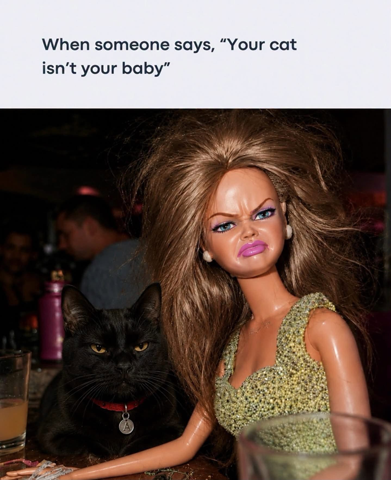When someone says, "Your cat isn't your baby"