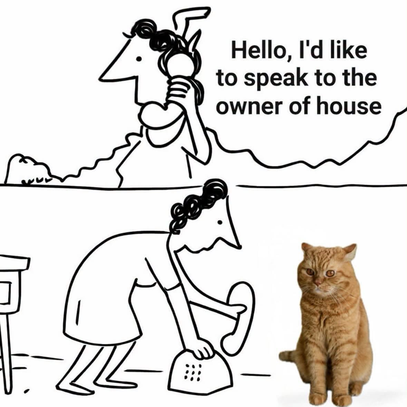 Hello, I'd like to speak to the owner of house