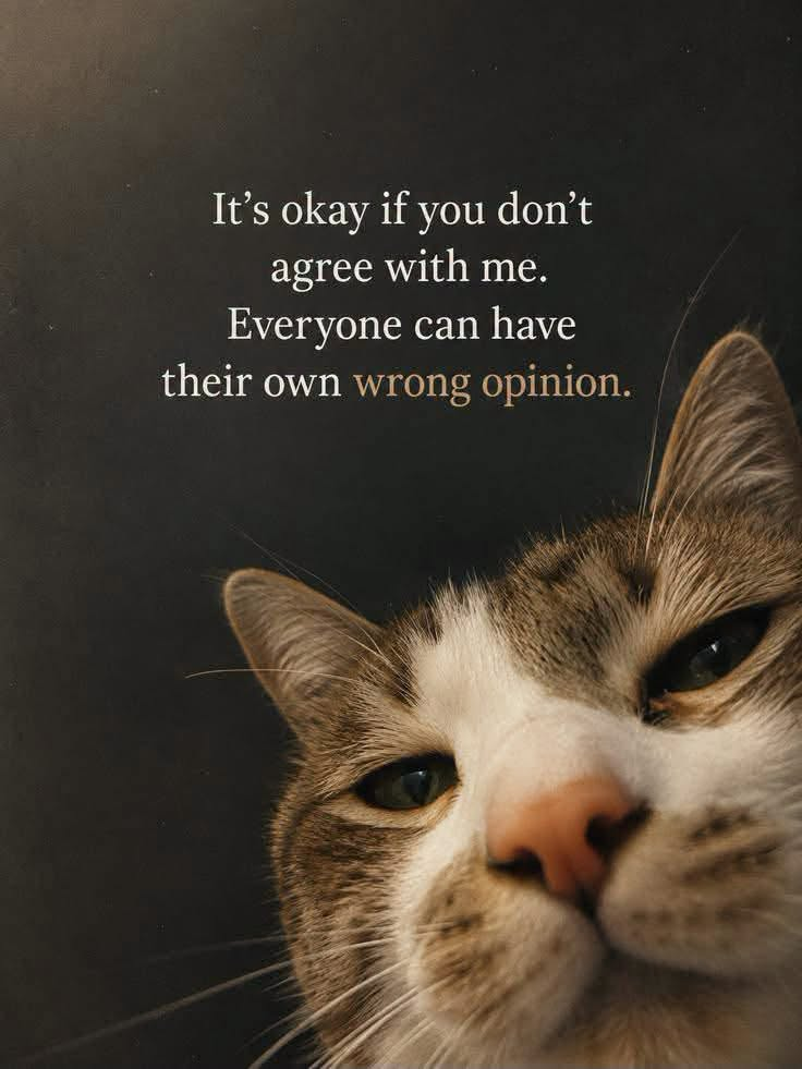 It's okay if you don't agree with me. Everyone can have their own wrong opinion.
