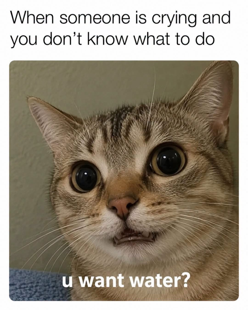 When someone is crying and you don't know what to do u want water?