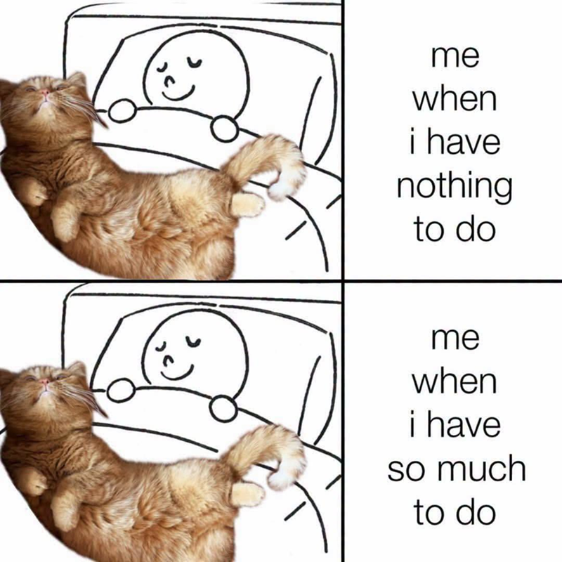 me when i have nothing to do me when i have so much to do