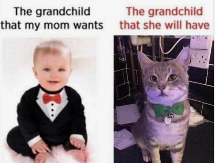 The grandchild that my mom wants The grandchild that she will have