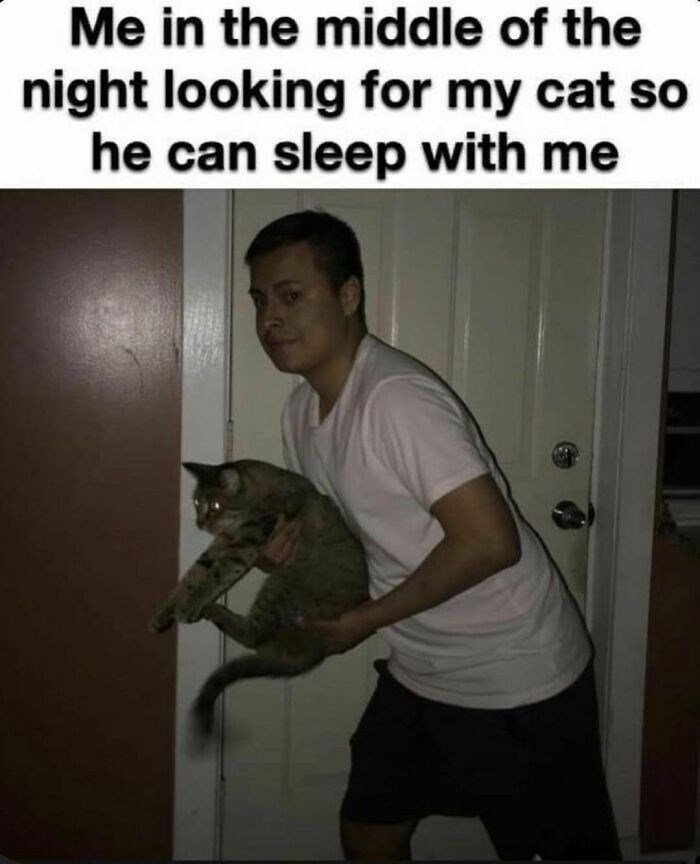 Me in the middle of the night looking for my cat so he can sleep with me