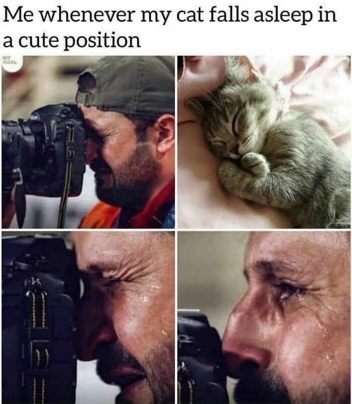 Me whenever my cat falls asleep in a cute position