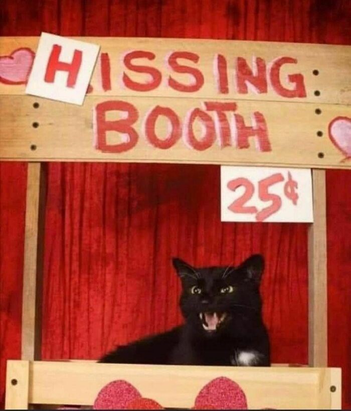 HASSING: BOOTH C 25¢ C