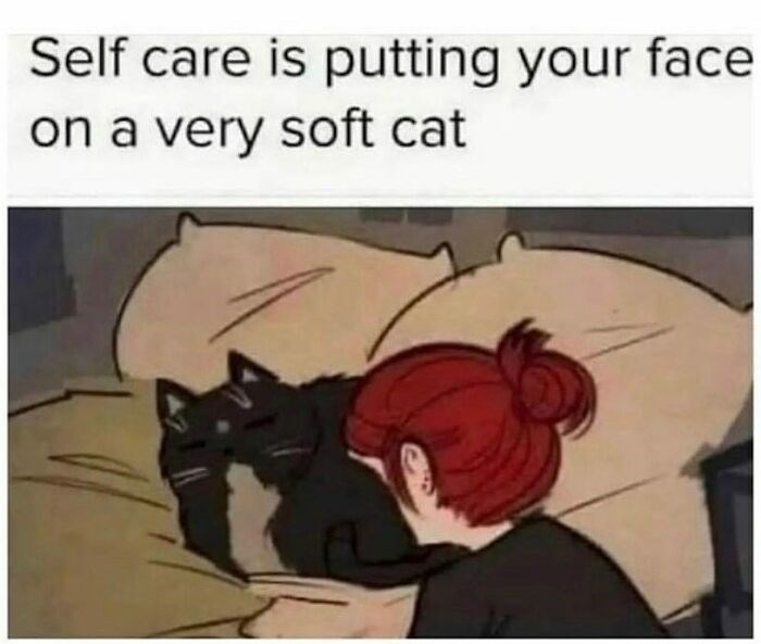 Self care is putting your face on a very soft cat