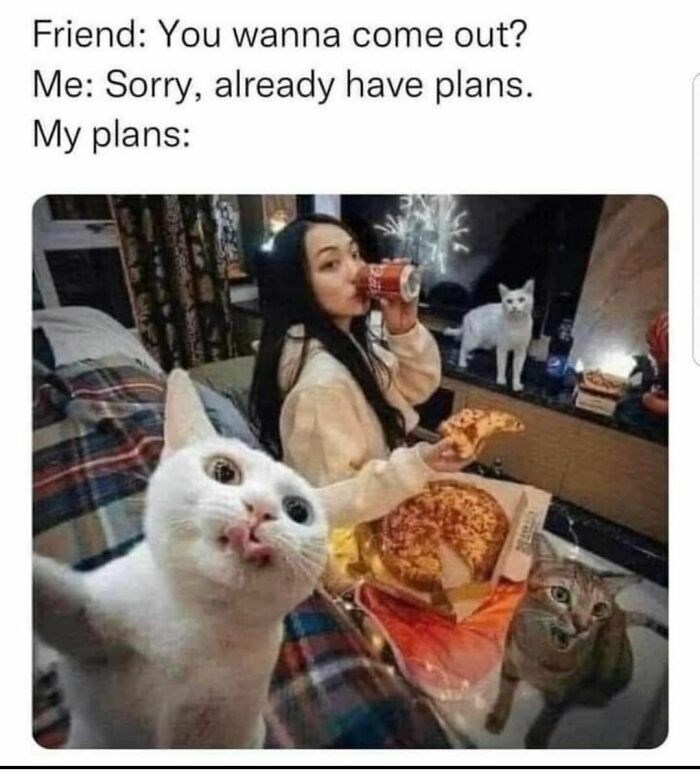 Friend: You wanna come out? Me: Sorry, already have plans. My plans: