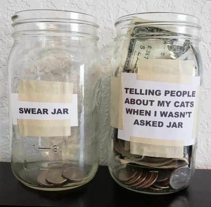 SWEAR JAR E 367 5 S TELLING PEOPLE ABOUT MY CATS WHEN I WASN'T ASKED JAR