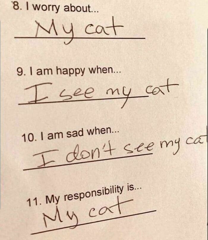 8. I worry about... My cat 9. I am happy when... I see my cat 10. I am sad when... I don't see my ca 11. My responsibility is... My cat