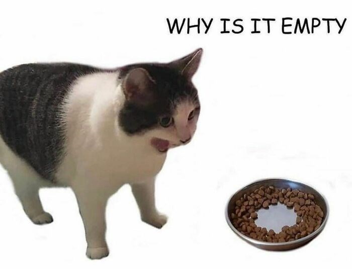 WHY IS IT EMPTY
