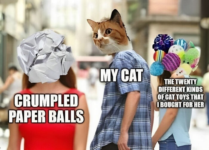 CRUMPLED PAPER BALLS MY CAT THE TWENTY DIFFERENT KINDS OF CAT TOYS THAT I BOUGHT FOR HER