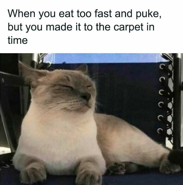 When you eat too fast and puke, but you made it to the carpet in time C