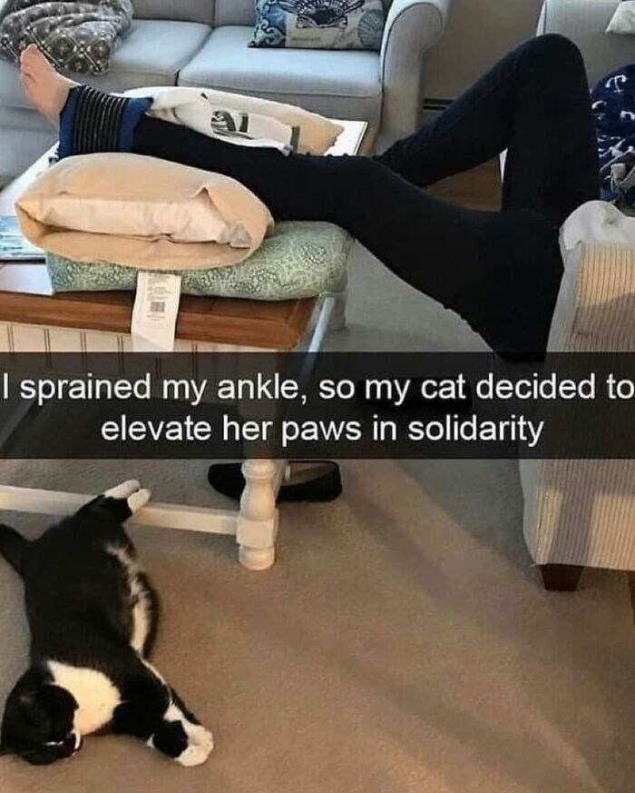 I sprained my ankle, so my cat decided to elevate her paws in solidarity