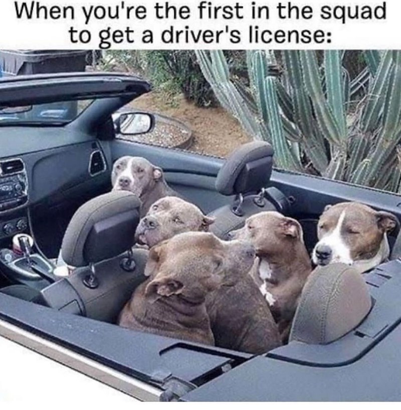 When you're the first in the squad to get a driver's license: