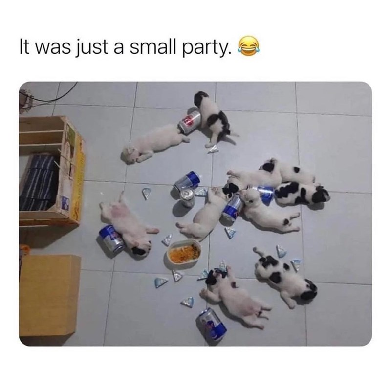 It was just a small party.