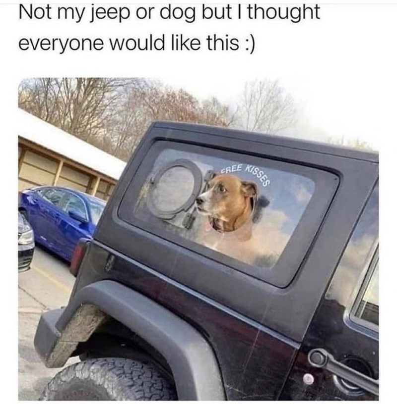 Not my jeep or dog but I thought everyone would like this :) CREE KISSES