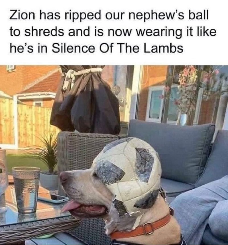 Zion has ripped our nephew's ball to shreds and is now wearing it like he's in Silence Of The Lambs
