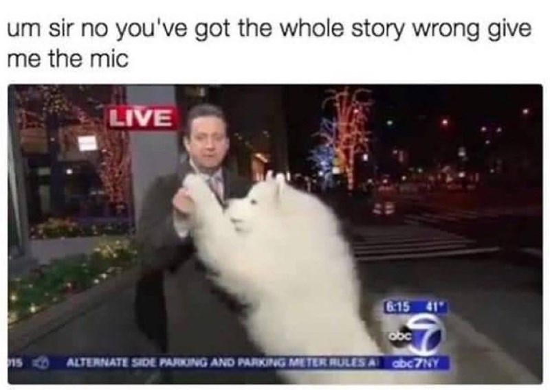 um sir no you've got the whole story wrong give me the mic LIVE 6:15 41 obc 15 ALTERNATE SIDE PARKING AND PARKING METER RULES A abc7NY