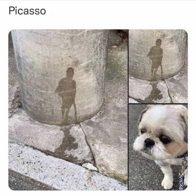 Picasso