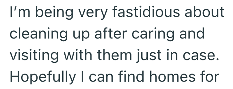 I'm being very fastidious about cleaning up after caring and visiting with them just in case. Hopefully I can find homes for