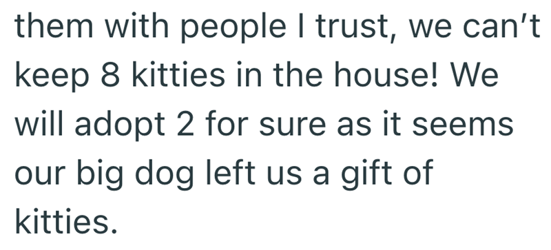 them with people I trust, we can't keep 8 kitties in the house! We will adopt 2 for sure as it seems our big dog left us a gift of kitties.
