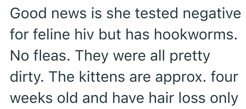 Good news is she tested negative for feline hiv but has hookworms. No fleas. They were all pretty dirty. The kittens are approx. four weeks old and have hair loss only