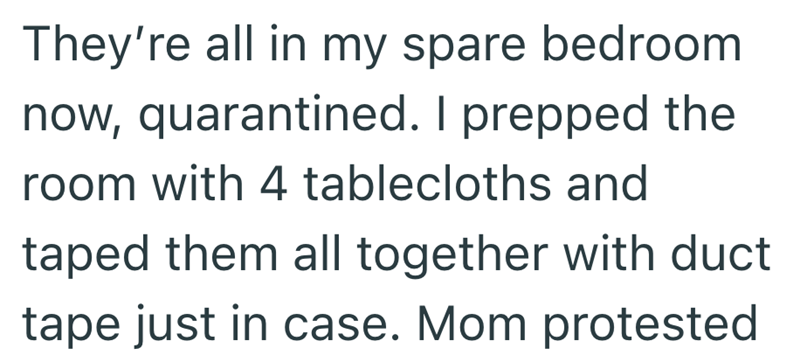 They're all in my spare bedroom now, quarantined. I prepped the room with 4 tablecloths and taped them all together with duct tape just in case. Mom protested