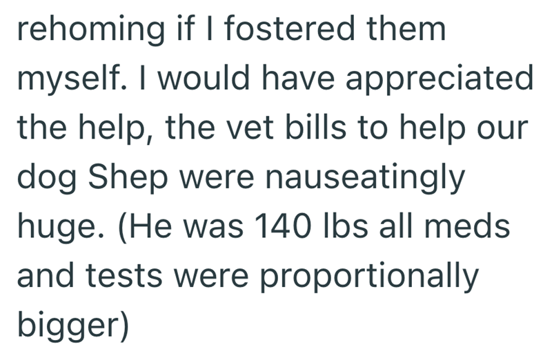 rehoming if I fostered them myself. I would have appreciated the help, the vet bills to help our dog Shep were nauseatingly huge. (He was 140 lbs all meds and tests were proportionally bigger)