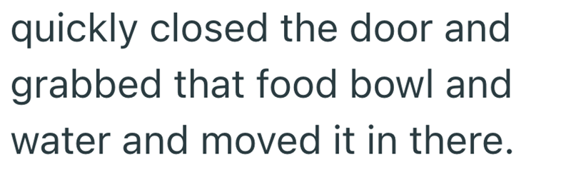 quickly closed the door and grabbed that food bowl and water and moved it in there.