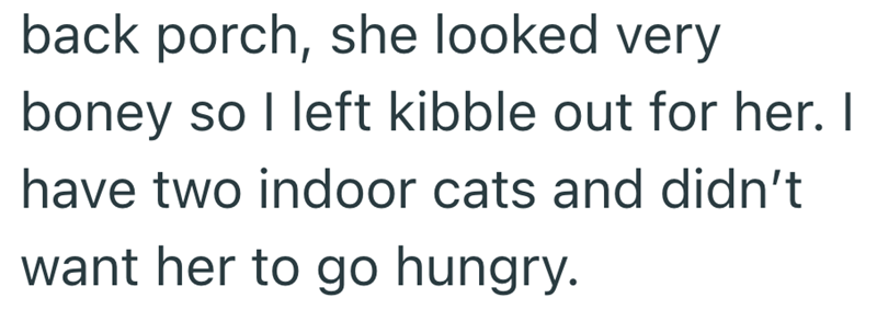 back porch, she looked very boney so I left kibble out for her. I have two indoor cats and didn't want her to go hungry.
