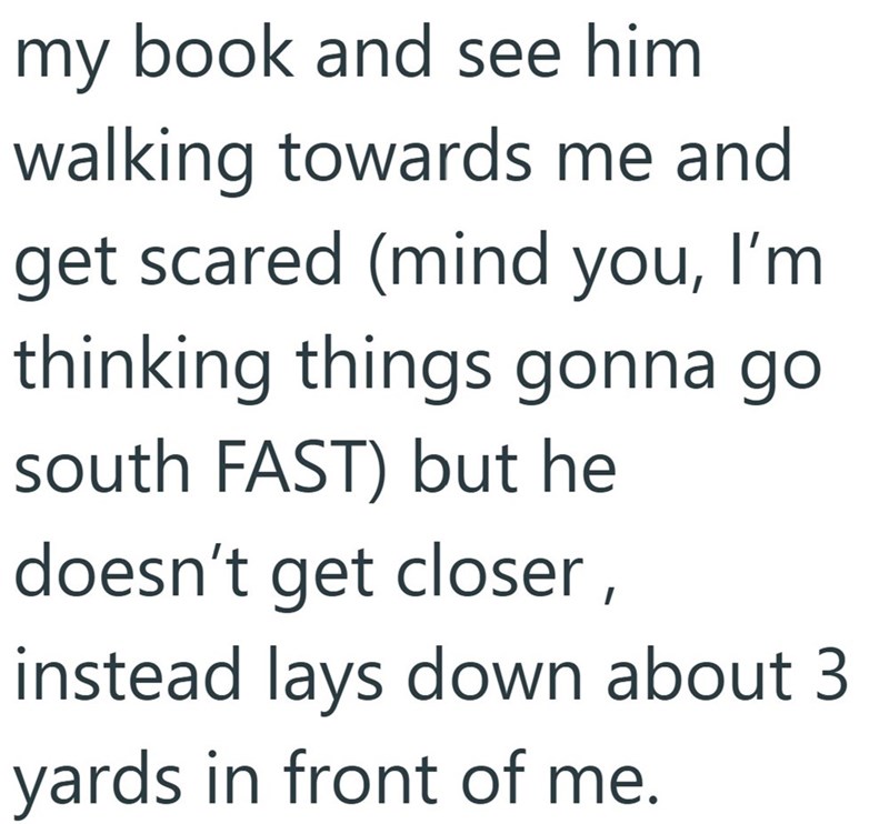 my book and see him walking towards me and get scared (mind you, I'm thinking things gonna go south FAST) but he doesn't get closer, instead lays down about 3 yards in front of me.