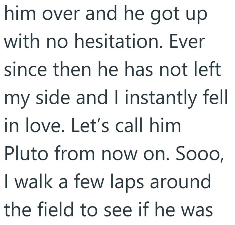 him over and he got up with no hesitation. Ever since then he has not left my side and I instantly fell in love. Let's call him Pluto from now on. Sooo, I walk a few laps around the field to see if he was