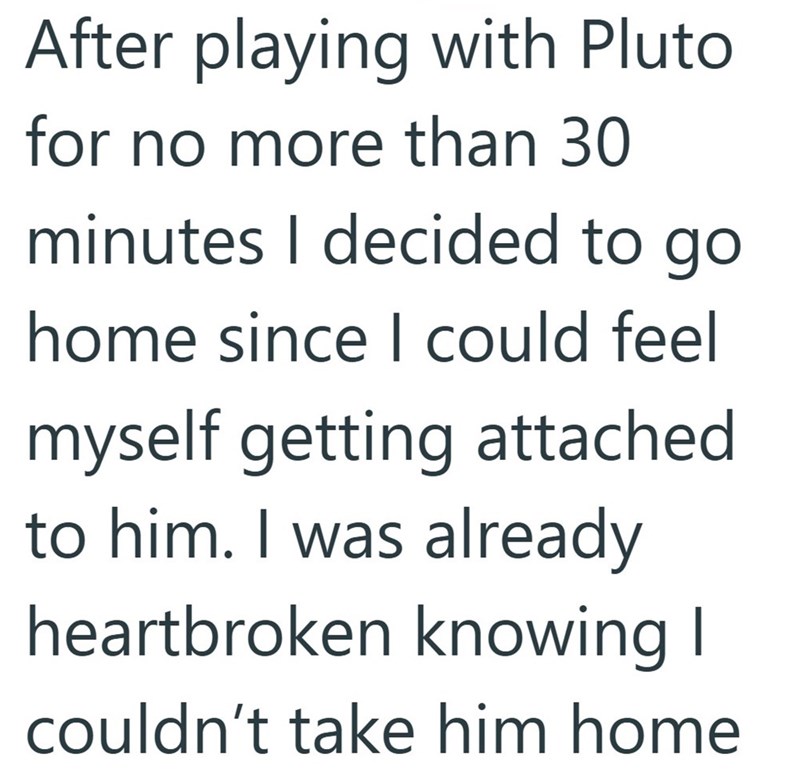 After playing with Pluto for no more than 30 minutes I decided to go home since I could feel myself getting attached to him. I was already heartbroken knowing I couldn't take him home