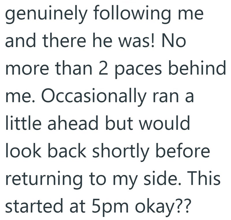 genuinely following me and there he was! No. more than 2 paces behind me. Occasionally ran a little ahead but would look back shortly before returning to my side. This started at 5pm okay??
