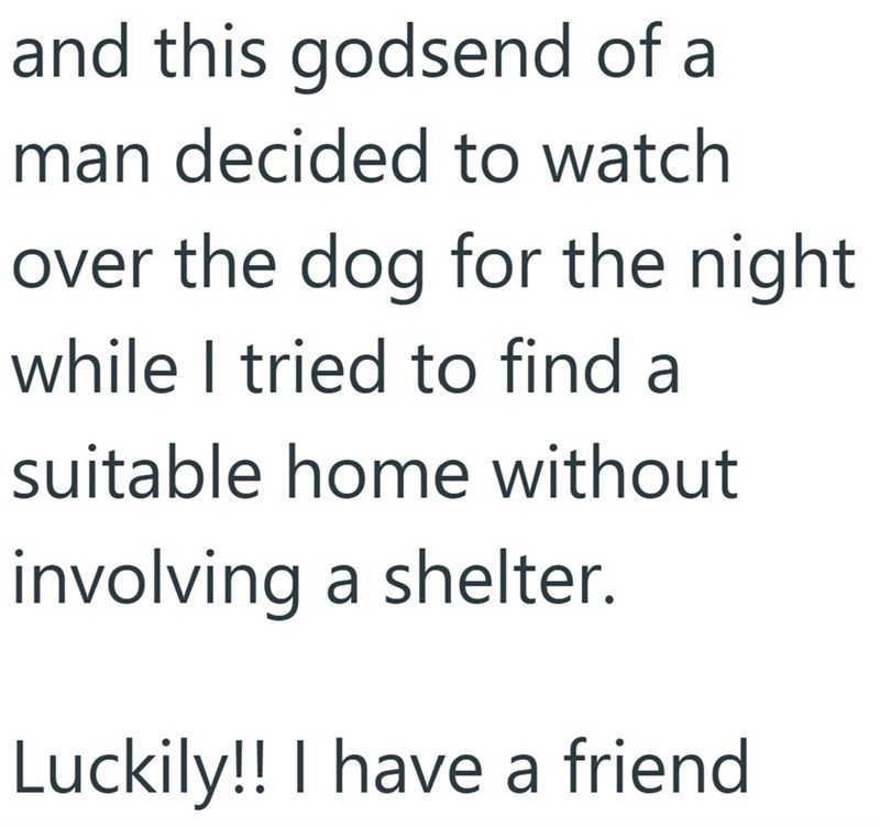 and this godsend of a man decided to watch over the dog for the night while I tried to find a suitable home without involving a shelter. Luckily!! I have a friend