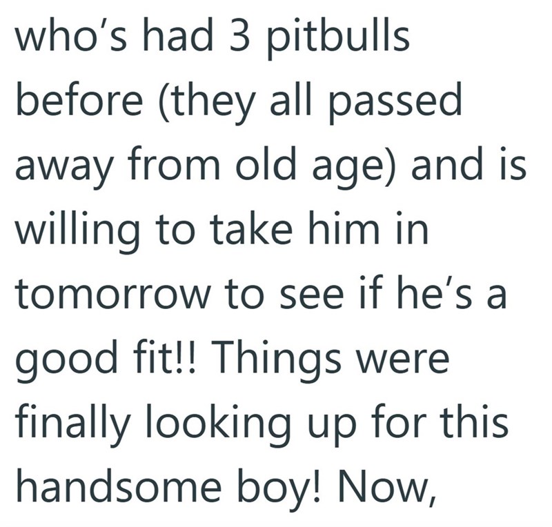 who's had 3 pitbulls before (they all passed away from old age) and is willing to take him in tomorrow to see if he's a good fit!! Things were finally looking up for this handsome boy! Now,