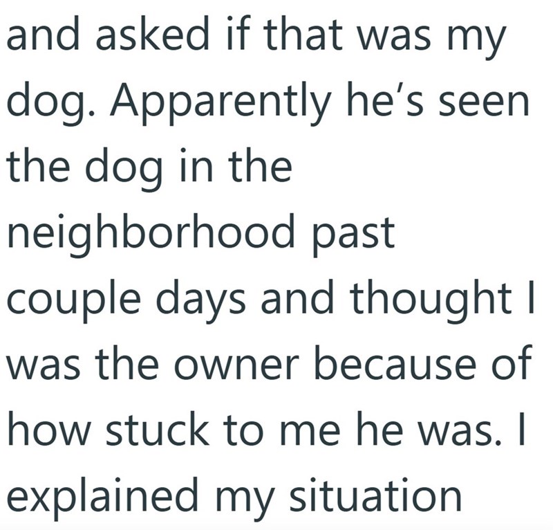and asked if that was my dog. Apparently he's seen the dog in the neighborhood past couple days and thought I was the owner because of how stuck to me he was. I explained my situation