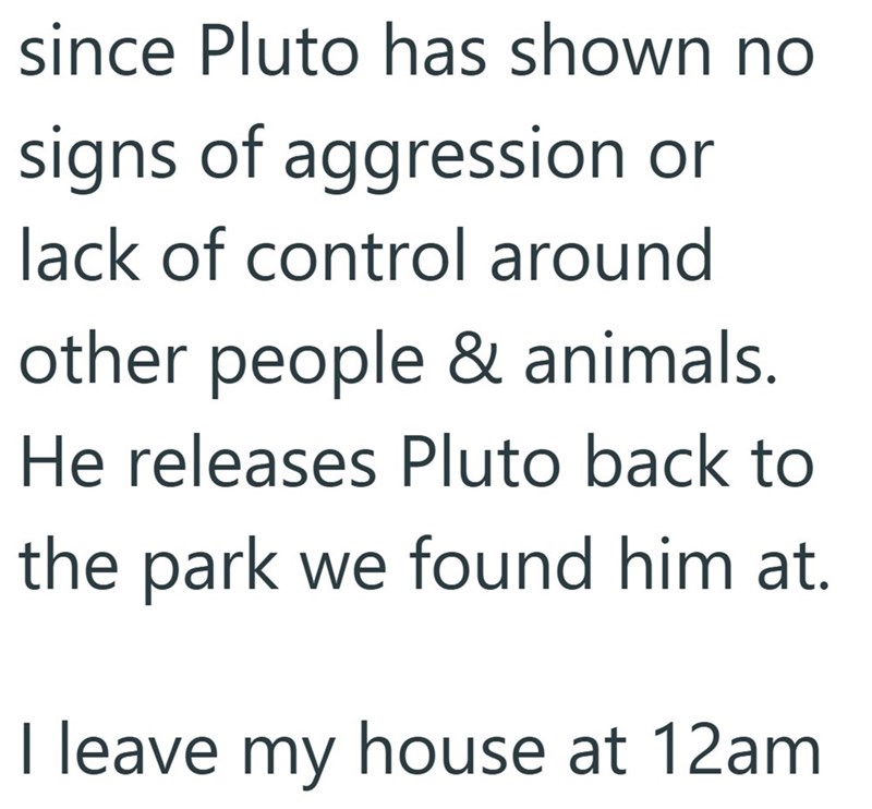 since Pluto has shown no signs of aggression or lack of control around other people & animals. He releases Pluto back to the park we found him at. I leave my house at 12am