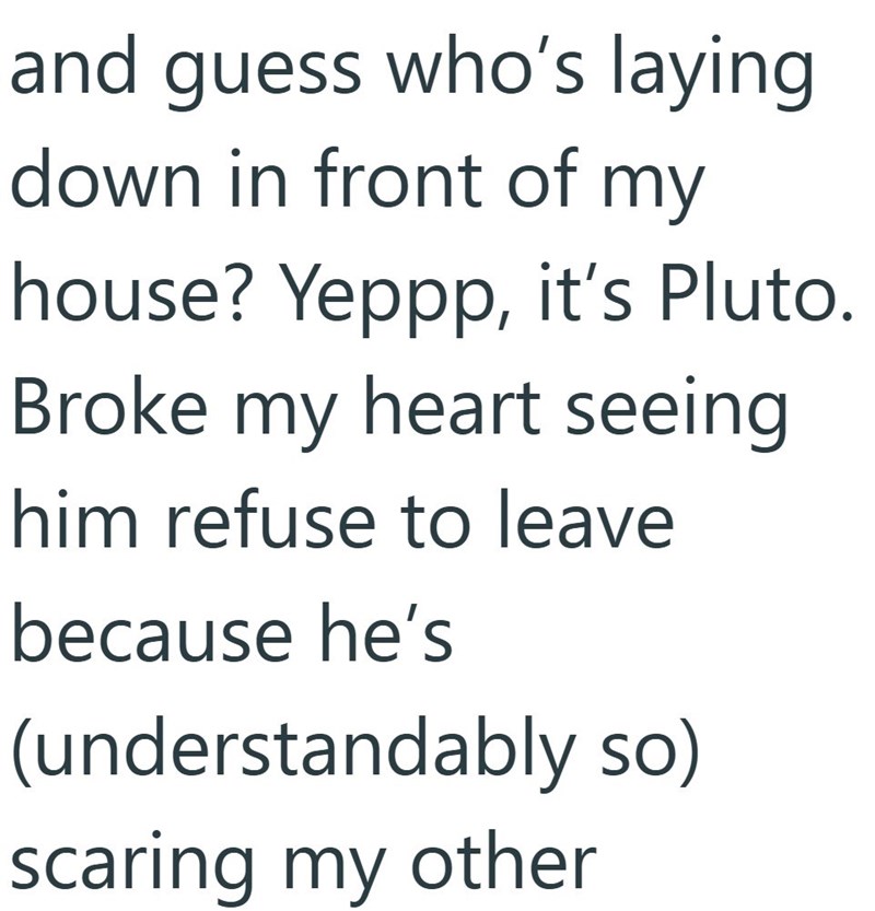 and guess who's laying down in front of my house? Yeppp, it's Pluto. Broke my heart seeing him refuse to leave because he's (understandably so) scaring my other
