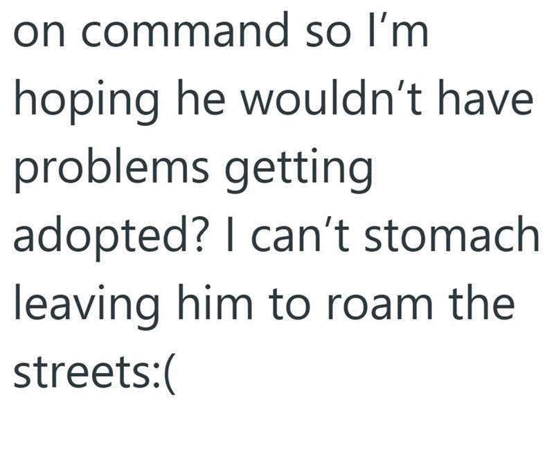 on command so I'm hoping he wouldn't have problems getting adopted? I can't stomach leaving him to roam the streets:(