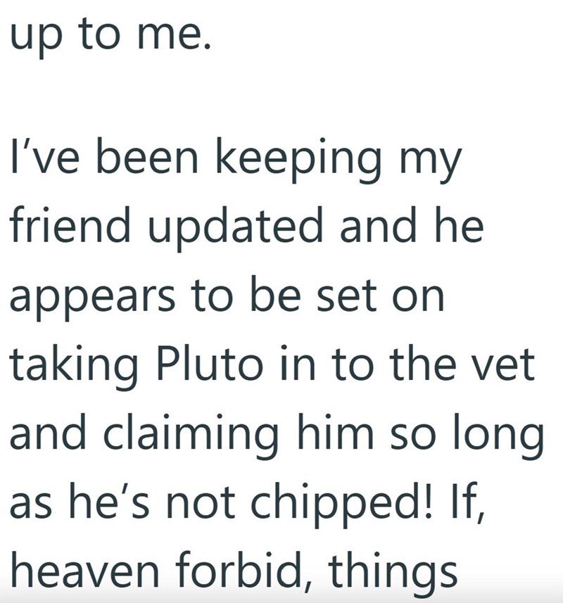 up to me. I've been keeping my friend updated and he appears to be set on taking Pluto in to the vet and claiming him so long as he's not chipped! If, heaven forbid, things