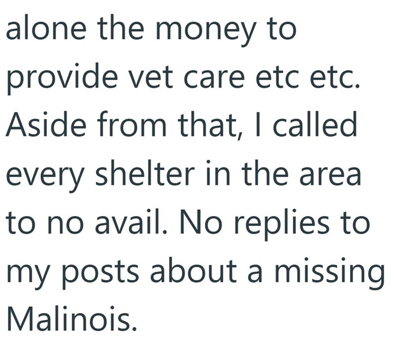 alone the money to provide vet care etc etc. Aside from that, I called every shelter in the area to no avail. No replies to my posts about a missing Malinois.