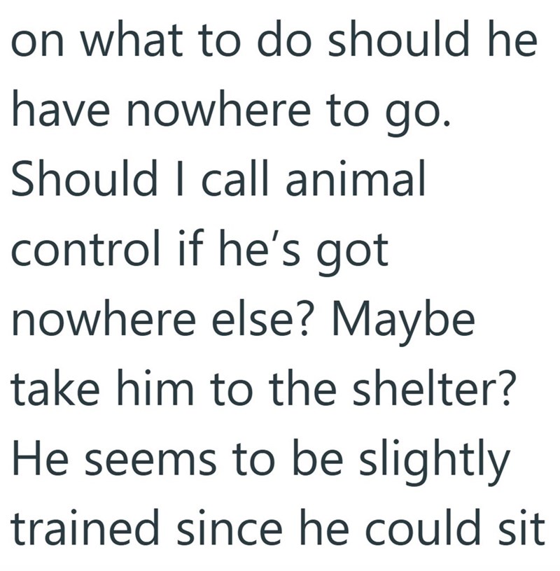 on what to do should he have nowhere to go. Should I call animal control if he's got nowhere else? Maybe take him to the shelter? He seems to be slightly trained since he could sit