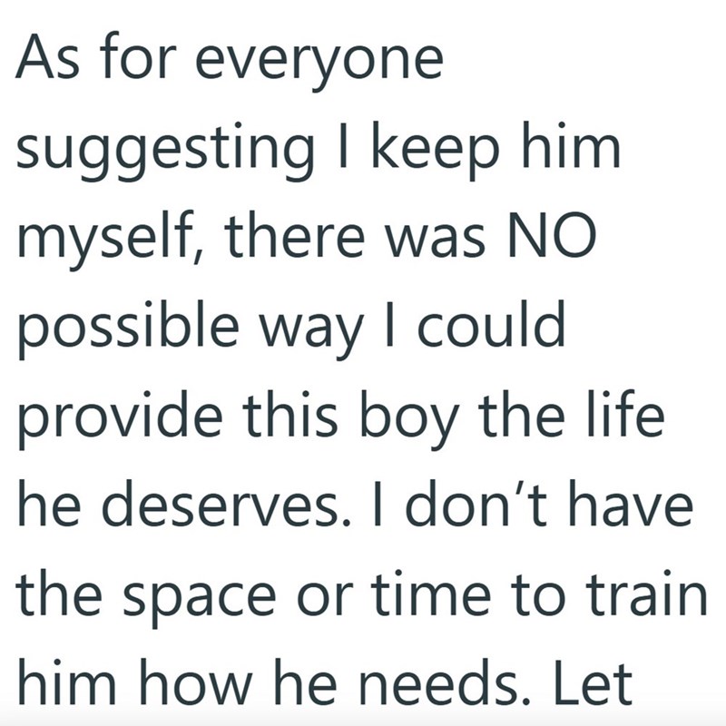 As for everyone suggesting I keep him myself, there was NO possible way I could provide this boy the life he deserves. I don't have the space or time to train him how he needs. Let