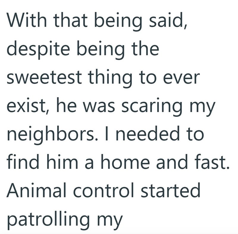 With that being said, despite being the sweetest thing to ever exist, he was scaring my neighbors. I needed to find him a home and fast. Animal control started patrolling my