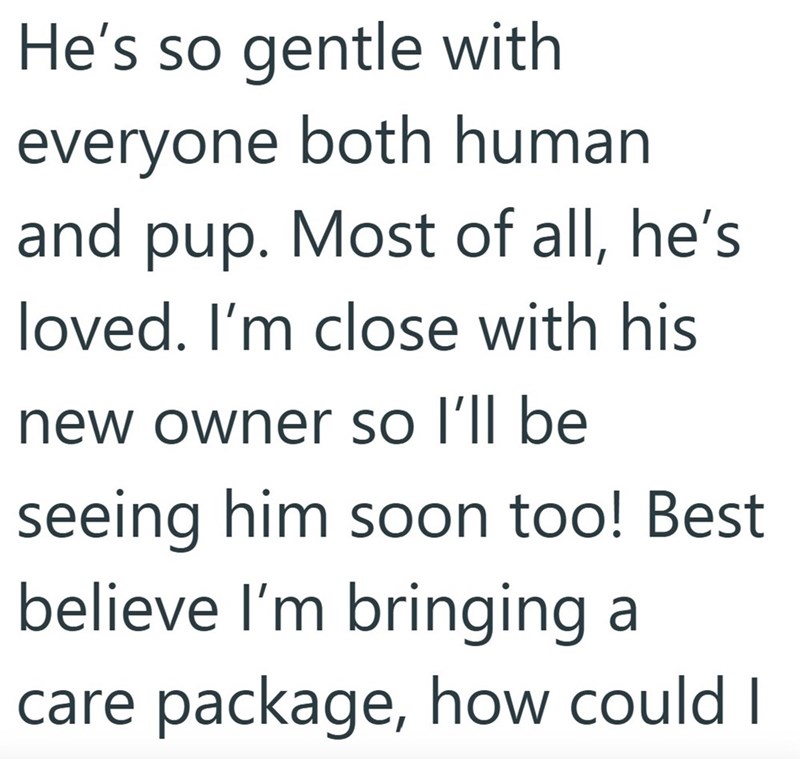 He's so gentle with everyone both human and pup. Most of all, he's loved. I'm close with his new owner so I'll be seeing him soon too! Best believe I'm bringing a care package, how could I