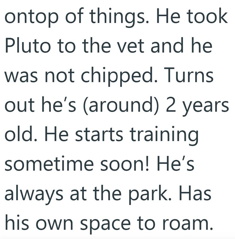 ontop of things. He took Pluto to the vet and he was not chipped. Turns out he's (around) 2 years old. He starts training sometime soon! He's always at the park. Has his own space to roam.
